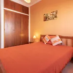 V Panorama