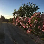 Solar Da Cotovia
