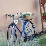 Alamos Retreat - Wellness & Yoga Boutique Hotel