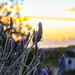 Bela Vista Retreat Wellness & Yoga