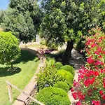 La Senhora Das Oliveiras