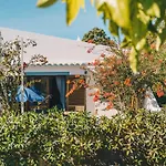 Casa Monki