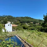 Quinta Algarve Das Relvinhas