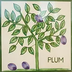 Casa Monte Cristo Apartments - Plum
