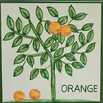 Casa Monte Cristo Apartments - Orange