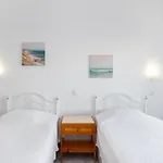 Rocha Home 1