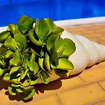 Flh Vilamoura Summer Apartment With Pool