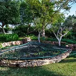 Villa Nenufa By Villa Plus