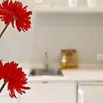 Apartamentos Da Cidade