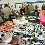 Coluna Mar