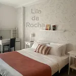 Lila Da Rocha - Paraiso Da Rocha