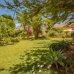 Quinta Paraiso Da Mia - Cosy Decorated Studio