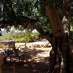 Quinta Amarela Xl By Portucasa