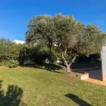 Casa Anton