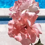 Vilamoura Cozy Apartment- Algardia