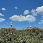 Casa Mimosa - Algarve