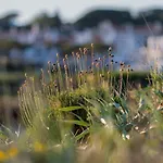 Oleander Terrace Albufeira