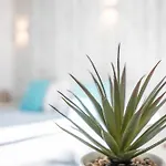 Apartamento Amarelo T1