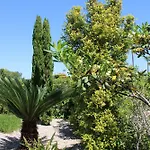 Luxury 2 Bedroom Apartment With Private Garden