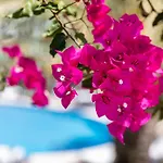 Vila Balaia - Luxury Boutique Villas