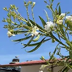 Herdade Dos Salgados Do Fialho