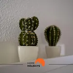 #002 Donalds Flat By Home Holidays