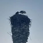 Vista Ria Formosa