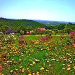 Casa Dos Sonhos, Private Terrace, Quiet Location, Walking To Village, Ecological Pool, Pets Considered, Nature Friendly