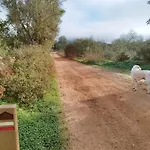 B&B Entrecolinas