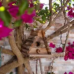 Casa O Cantinho Algarvio