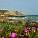 Luz Vila