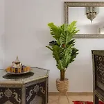 Riad Latifa - Authentic Riad With Jacuzzi In Albufeira