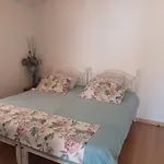 Quinta Do Baqueneu- Sitio Das Cortes