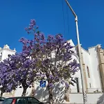 Casa Sala - Boutique Collection