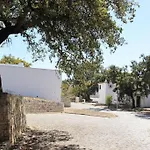 Vilanova Eight