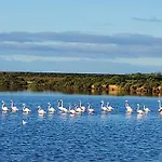 Village Marina