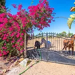 Yoba Horse Farm - Charming 3-Bedroom Farmhouse