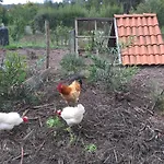 Global Chill Farm Loft