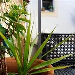 Casa Da Praia - Manta Rota