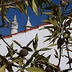 Casa Do Campo