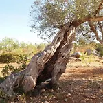 Quinta Da Roma