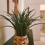 Apartamento Oasis Parque 2