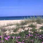 Summer Days