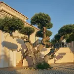 Villa Monte Das Oliveiras With Private Pool