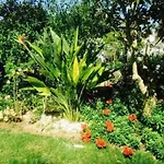 Ferienhaus Fuer 4 Personen In Algoz, Algarve