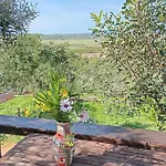 Glamping Casa Dos Sonhos