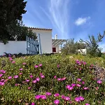 Casa Pedralva