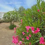 Praia Eulalia With Pool And 5 Minutes From The Beach