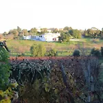 Wine House