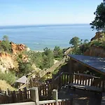 Apartment With 1 Bedroom D